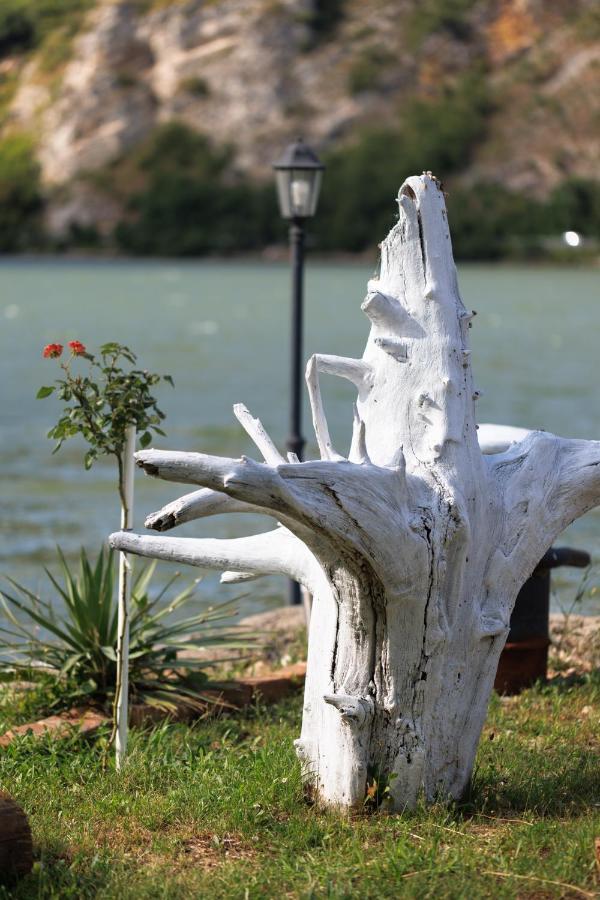 Apartman Barka Golubac Exteriör bild