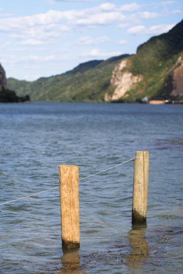 Apartman Barka Golubac Exteriör bild