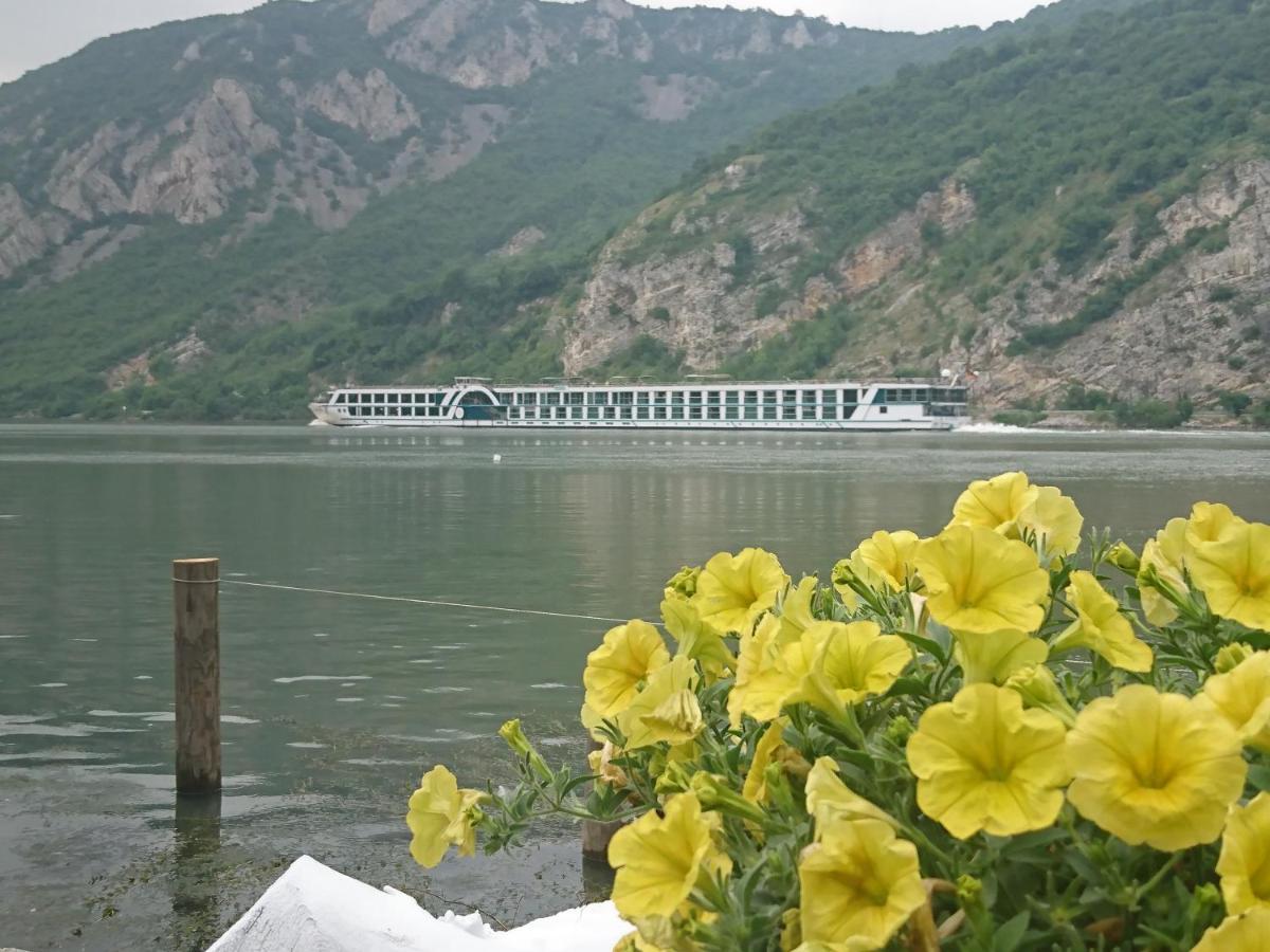 Apartman Barka Golubac Exteriör bild