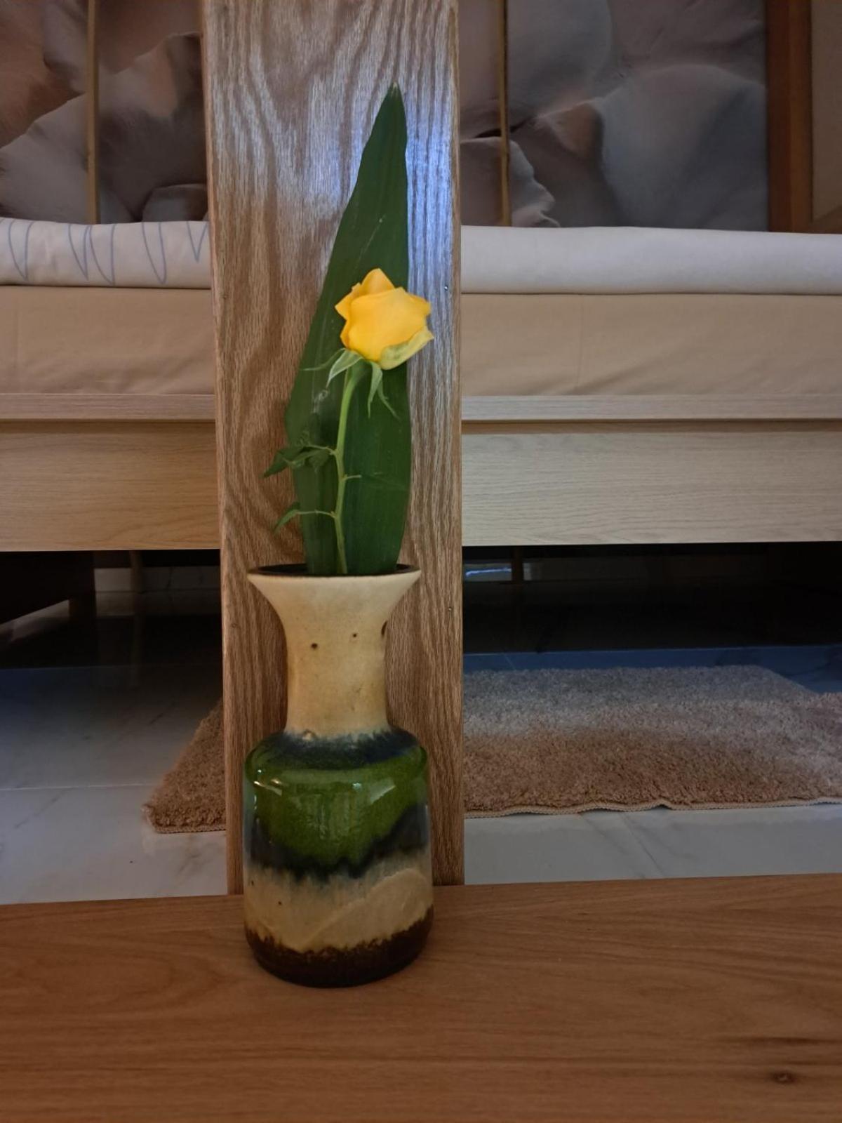 Apartman Barka Golubac Exteriör bild