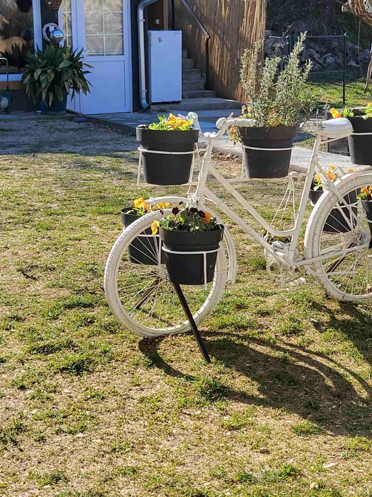 Apartman Barka Golubac Exteriör bild